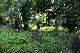 wm_Rathfarnham churchyard 2 (6).jpg.jpg