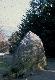 wm_Mountpelier Standing Stone 1.2.248.jpg.jpg